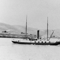 Madrono - old photo