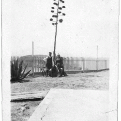 Couple in early 1900s by century plant on island